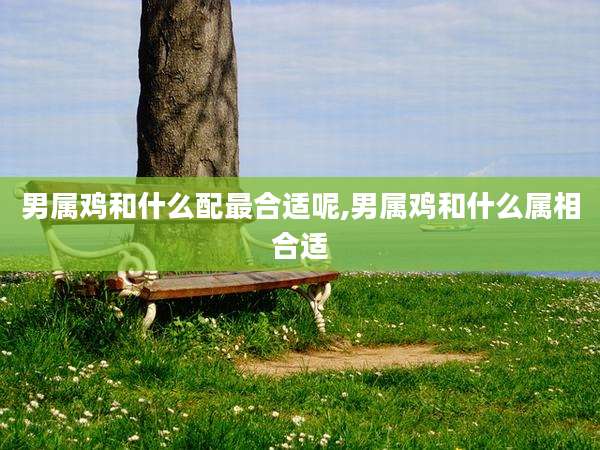 男属鸡和什么配最合适呢,男属鸡和什么属相合适