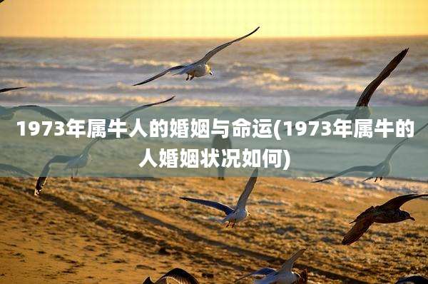 1973年属牛人的婚姻与命运(1973年属牛的人婚姻状况如何)