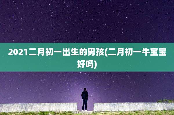 2021二月初一出生的男孩(二月初一牛宝宝好吗)