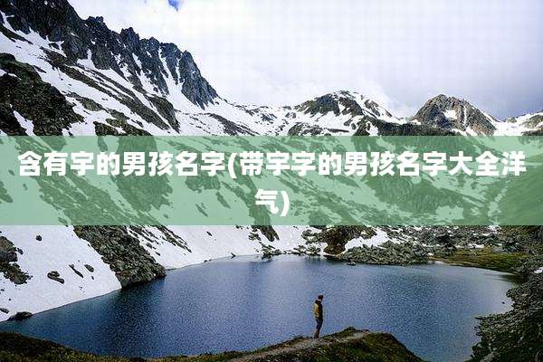 含有宇的男孩名字(带宇字的男孩名字大全洋气)