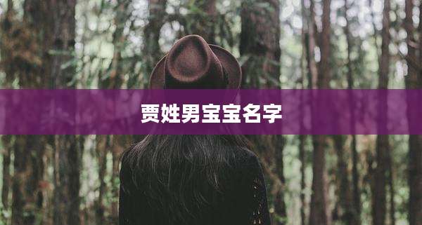 贾姓男宝宝名字