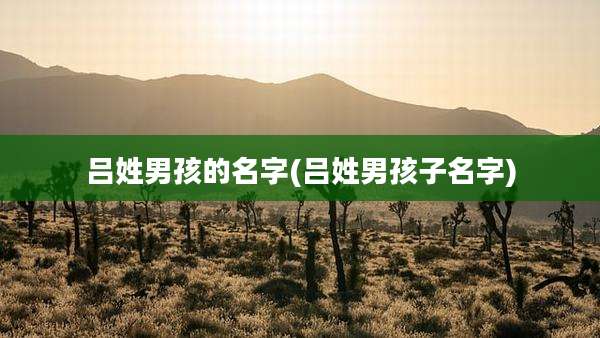吕姓男孩的名字(吕姓男孩子名字)