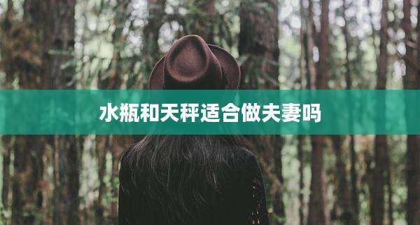 水瓶和天秤适合做夫妻吗