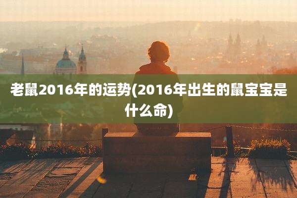 老鼠2016年的运势(2016年出生的鼠宝宝是什么命)