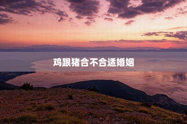 鸡跟猪合不合适婚姻