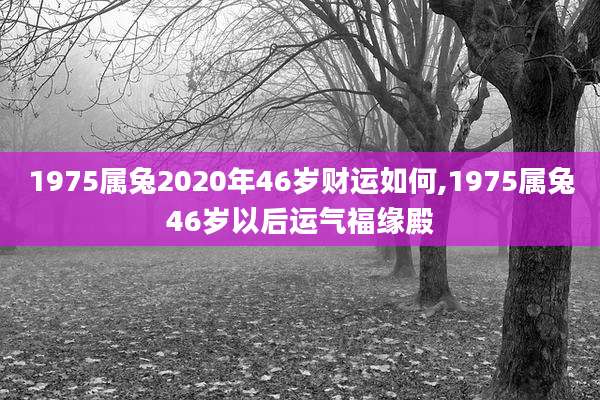 1975属兔2020年46岁财运如何,1975属兔46岁以后运气福缘殿
