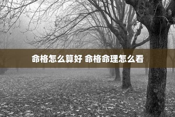 命格怎么算好 命格命理怎么看
