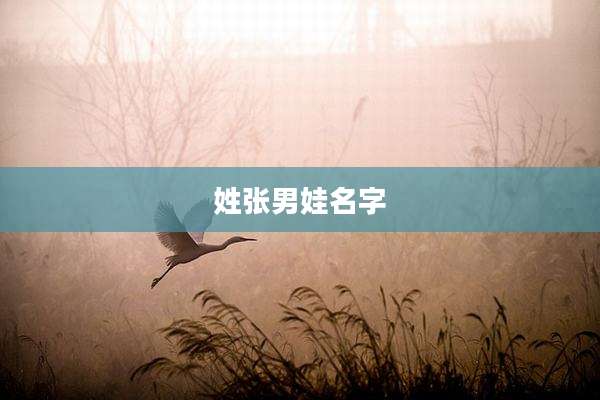姓张男娃名字