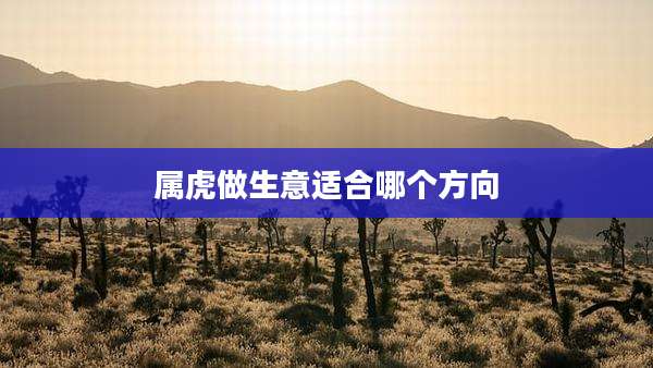 属虎做生意适合哪个方向