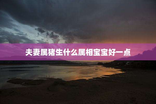 夫妻属猪生什么属相宝宝好一点