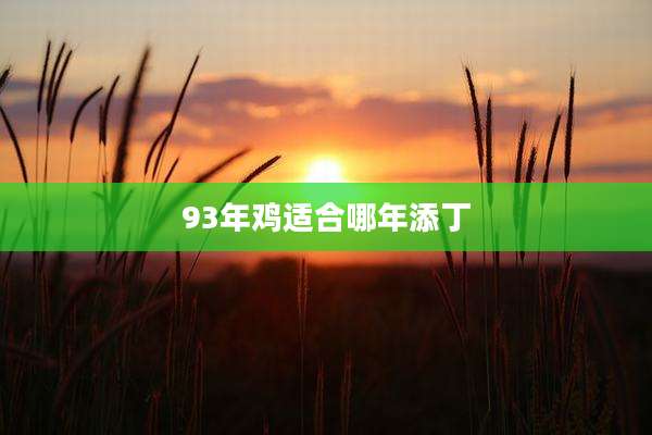 93年鸡适合哪年添丁