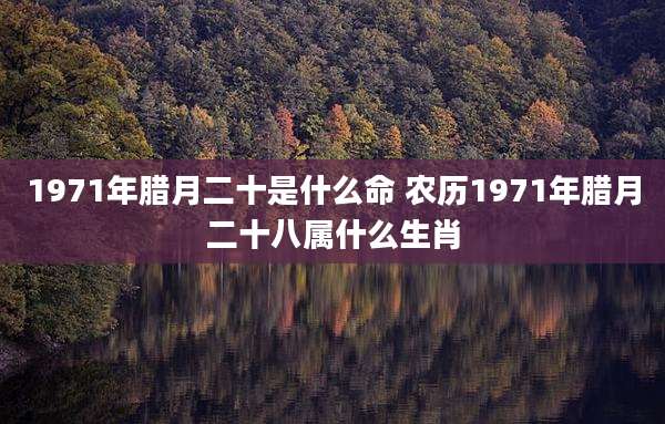 1971年腊月二十是什么命 农历1971年腊月二十八属什么生肖