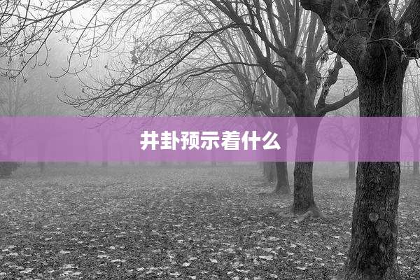 井卦预示着什么