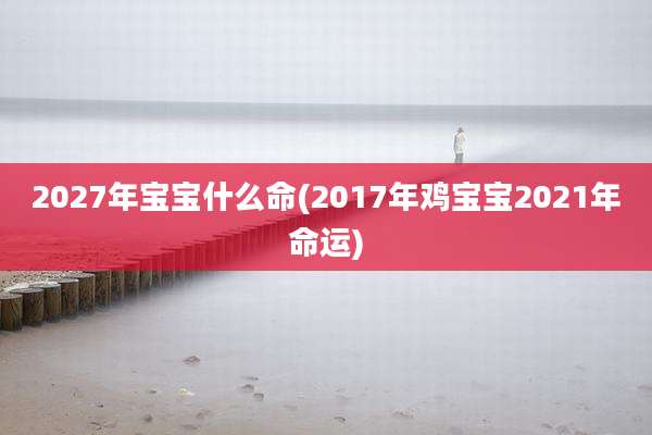 2027年宝宝什么命(2017年鸡宝宝2021年命运)