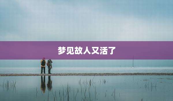 梦见故人又活了