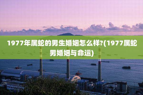 1977年属蛇的男生婚姻怎么样?(1977属蛇男婚姻与命运)