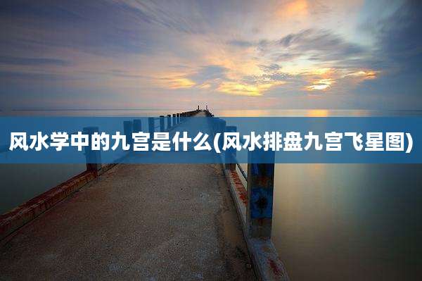 风水学中的九宫是什么(风水排盘九宫飞星图)