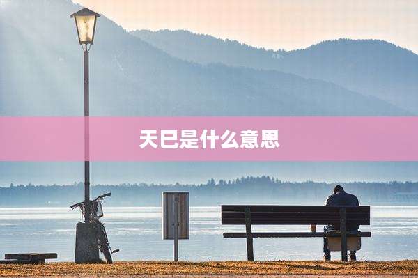 天巳是什么意思