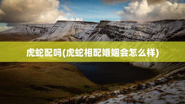 虎蛇配吗(虎蛇相配婚姻会怎么样)