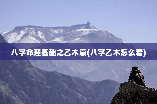 八字命理基础之乙木篇(八字乙木怎么看)