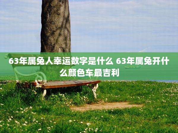 63年属兔人幸运数字是什么 63年属兔开什么颜色车最吉利