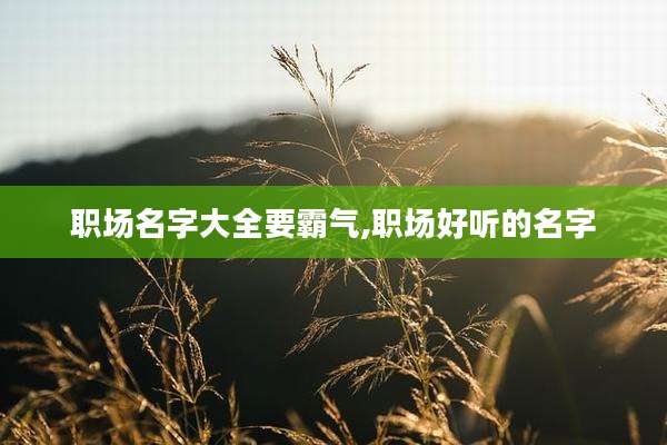 职场名字大全要霸气,职场好听的名字