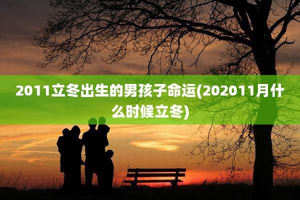 2011立冬出生的男孩子命运(202011月什么时候立冬)