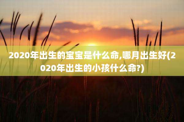 2020年出生的宝宝是什么命,哪月出生好(2020年出生的小孩什么命?)
