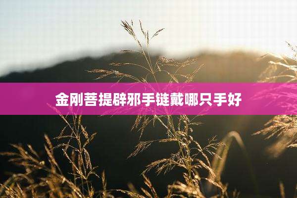 金刚菩提辟邪手链戴哪只手好