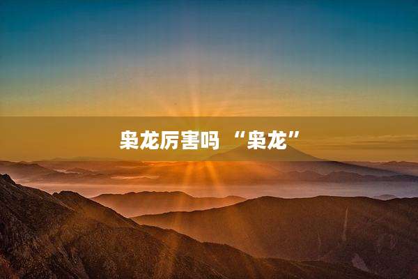 枭龙厉害吗 “枭龙”