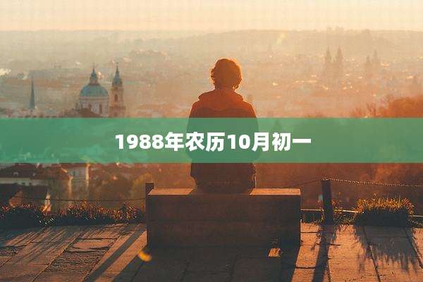 1988年农历10月初一