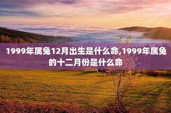 1999年属兔12月出生是什么命,1999年属兔的十二月份是什么命