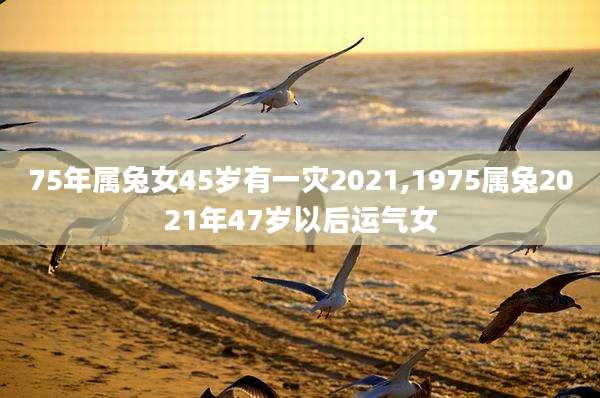 75年属兔女45岁有一灾2021,1975属兔2021年47岁以后运气女