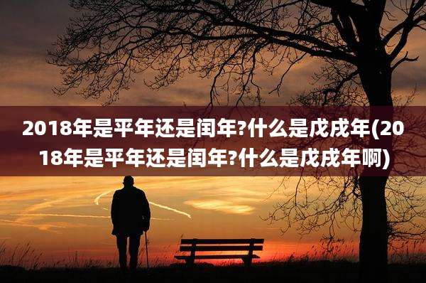 2018年是平年还是闰年?什么是戊戌年(2018年是平年还是闰年?什么是戊戌年啊)
