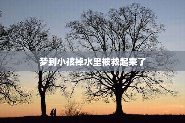 梦到小孩掉水里被救起来了