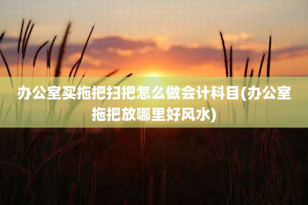 办公室买拖把扫把怎么做会计科目(办公室拖把放哪里好风水)