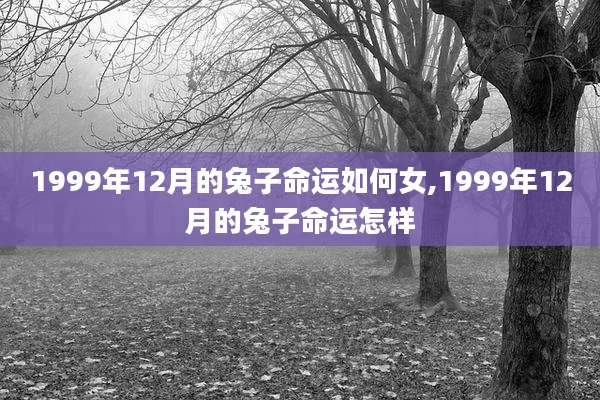 1999年12月的兔子命运如何女,1999年12月的兔子命运怎样