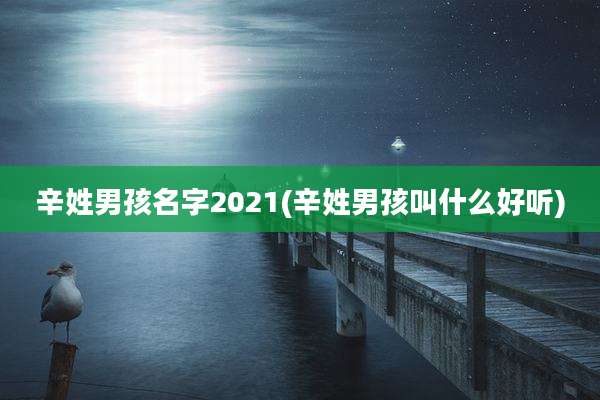 辛姓男孩名字2021(辛姓男孩叫什么好听)