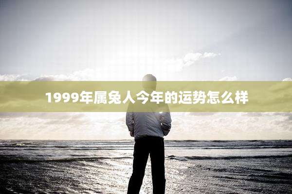 1999年属兔人今年的运势怎么样