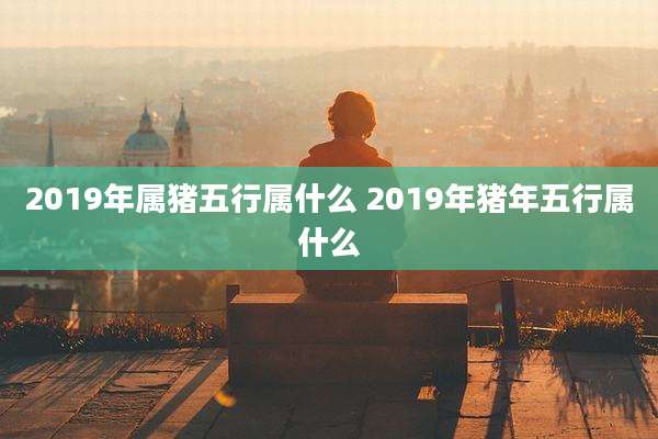 2019年属猪五行属什么 2019年猪年五行属什么