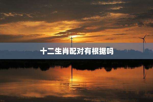 十二生肖配对有根据吗