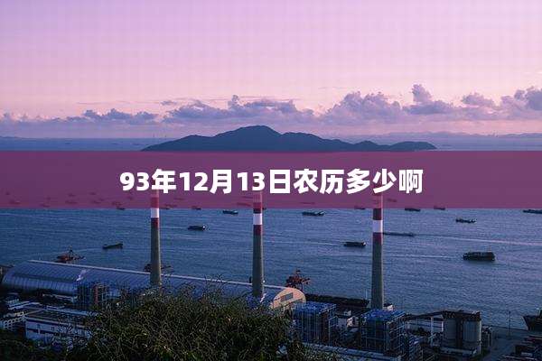 93年12月13日农历多少啊