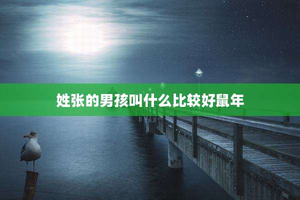 姓张的男孩叫什么比较好鼠年