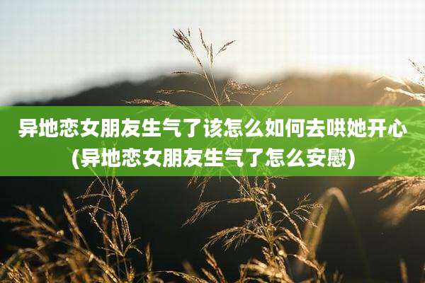 异地恋女朋友生气了该怎么如何去哄她开心(异地恋女朋友生气了怎么安慰)