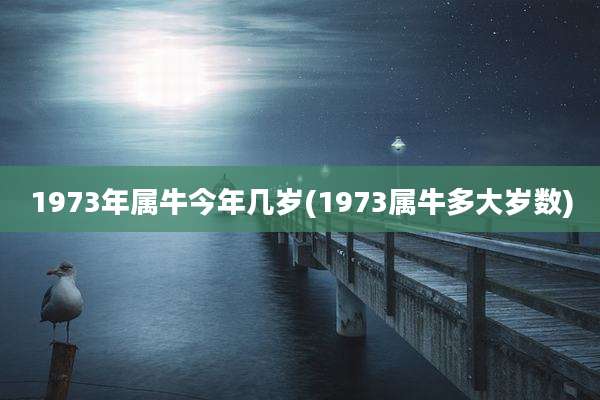 1973年属牛今年几岁(1973属牛多大岁数)