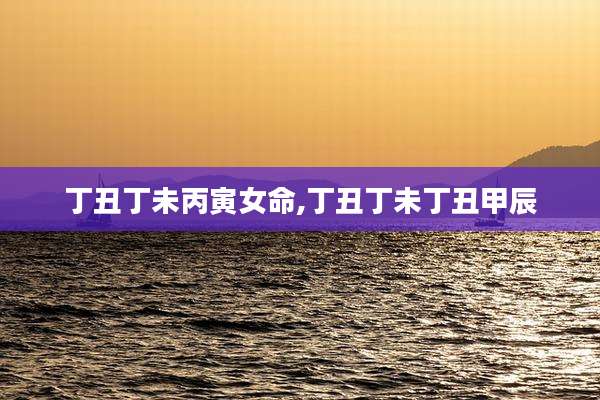 丁丑丁未丙寅女命,丁丑丁未丁丑甲辰