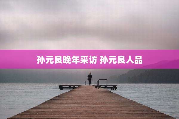 孙元良晚年采访 孙元良人品