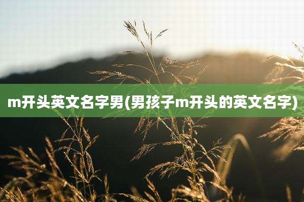 m开头英文名字男(男孩子m开头的英文名字)