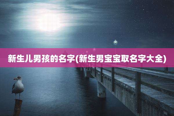新生儿男孩的名字(新生男宝宝取名字大全)