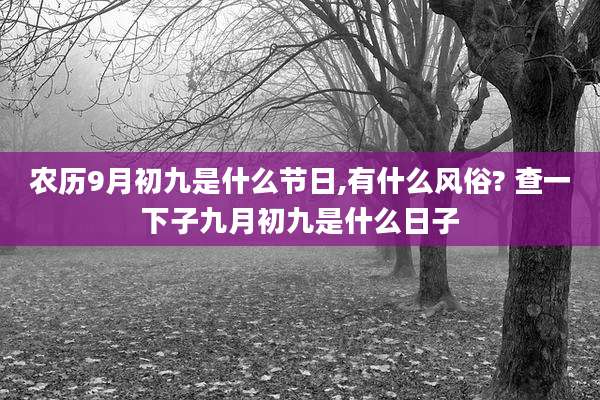 农历9月初九是什么节日,有什么风俗? 查一下子九月初九是什么日子